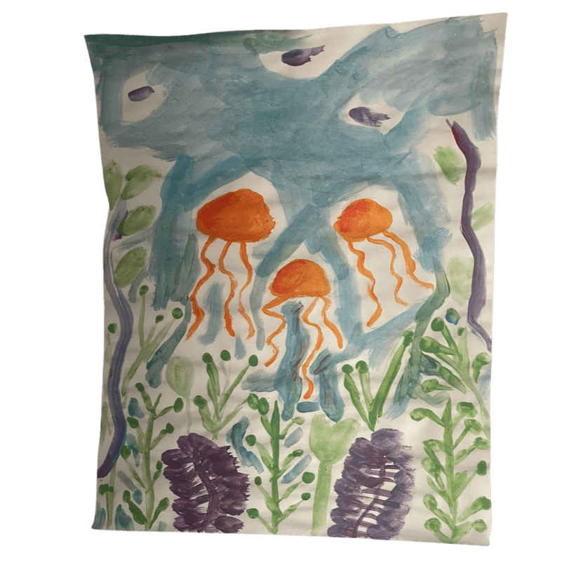 Jellyfish